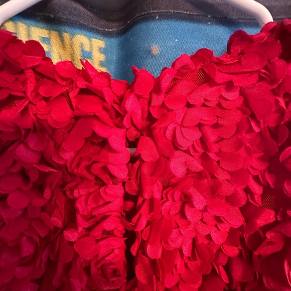 CLOSET CLOSING J Crew FACTORY Mini Rosette Dress NWT - Picture 5 of 9